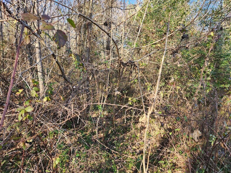 More Photos Of 1310 Mayflower Rd, Sale Creek Land For Sale