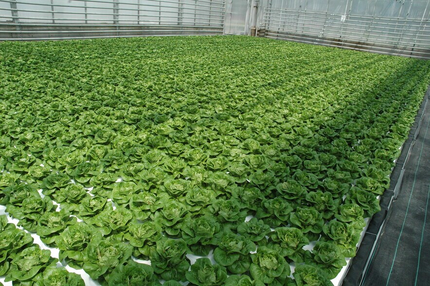 More Photos Of 16 Satterlee Hollow Rd, Berlin Land For Sale