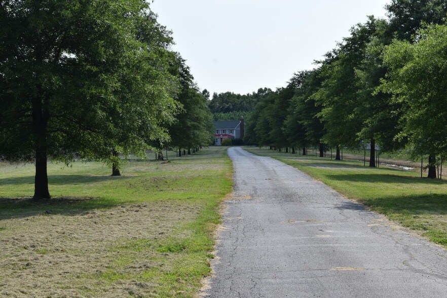More Photos Of 953 White Marsh Branch Rd, Harrington Land For Sale