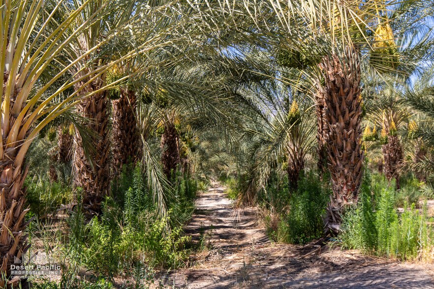 More Photos Of 75317 Polk St st, Thermal Land For Sale