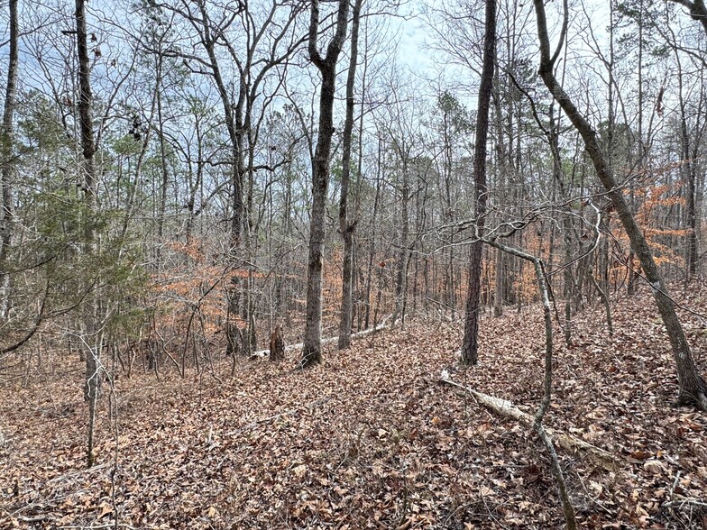 Primary Photo Of 0 County Road 18 Rd, Talladega Land For Sale