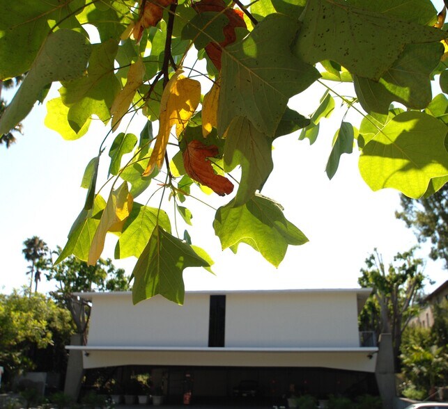 More Photos Of 1517 Fair Oaks Ave, South Pasadena Office For Lease