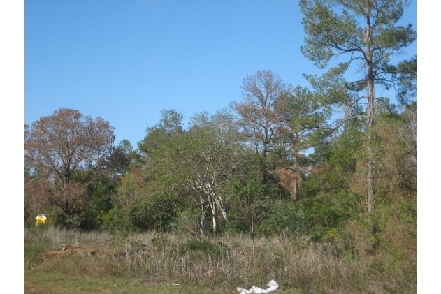 More Photos Of State Highway 249, Pinehurst Land For Lease