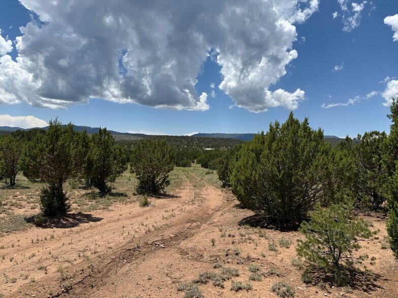More Photos Of 44 Forest 321 Rd, Estancia Land For Sale