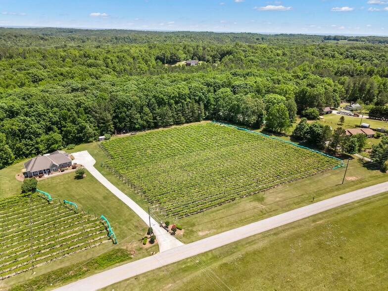 More Photos Of 665 N Hulett Rd, Villa Rica Winery Vineyard For Sale