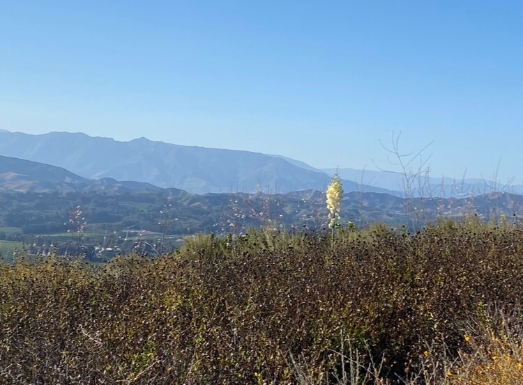 More Photos Of 7979 Worth Way, Camarillo Land For Lease