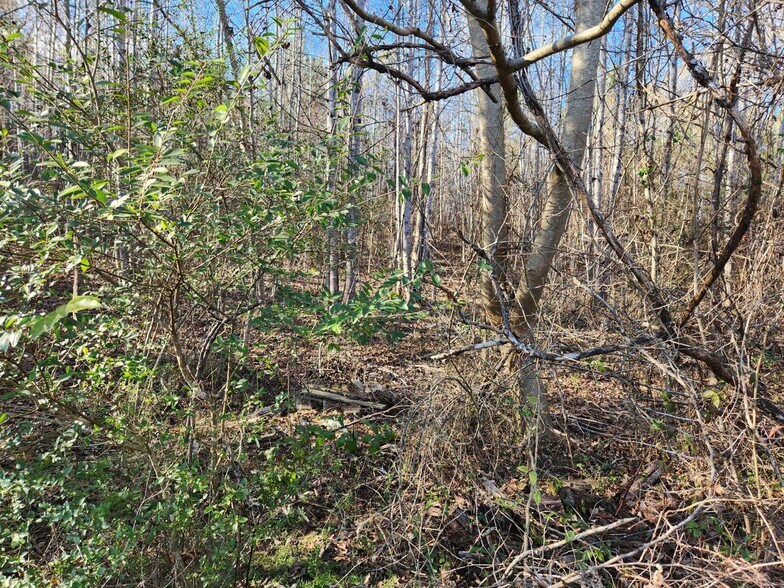 More Photos Of 1310 Mayflower Rd, Sale Creek Land For Sale