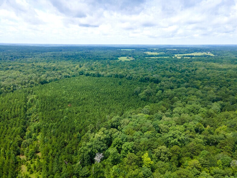 More Photos Of 2539 FM 995, Atlanta Land For Sale