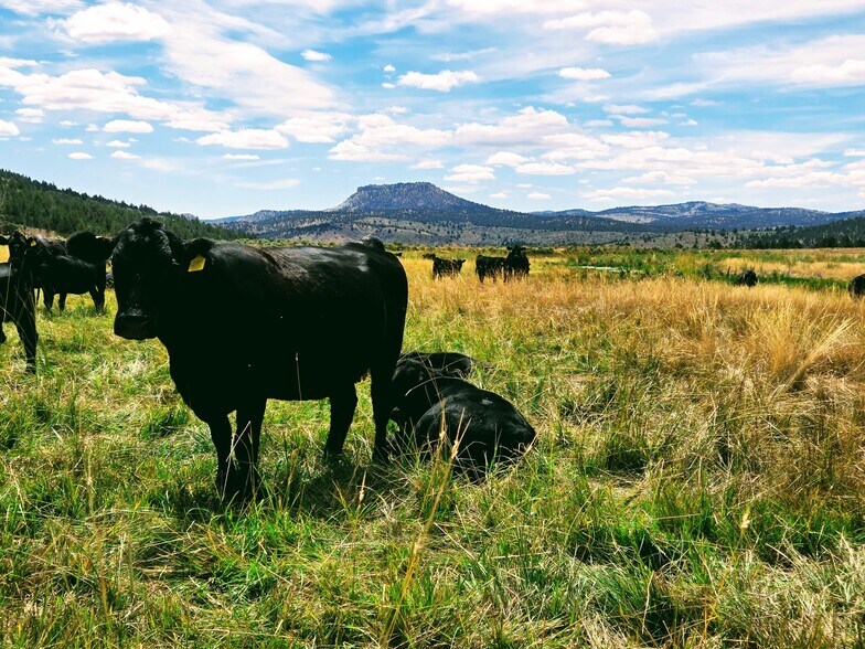 More Photos Of 32611 Tackman Rd, Prineville Land For Sale