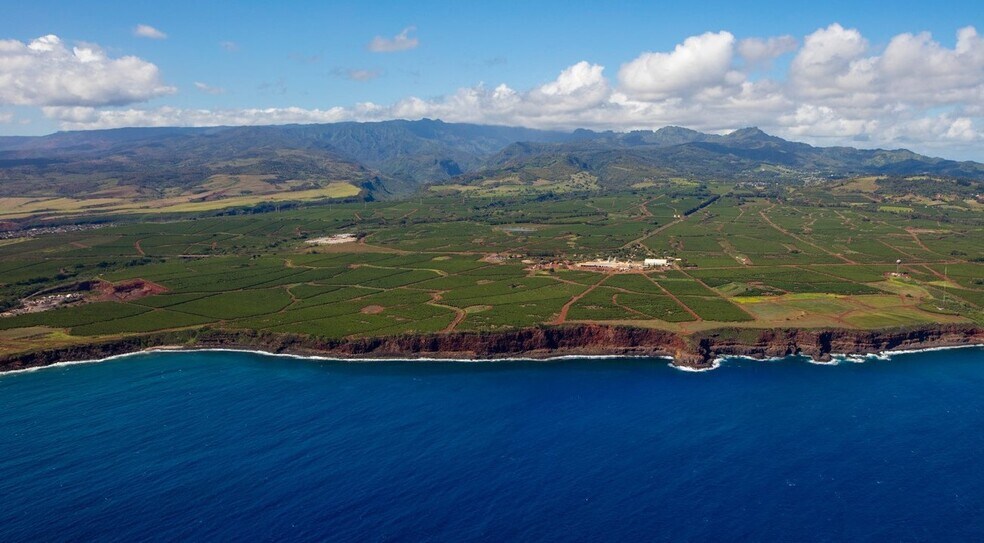 More Photos Of 870 Halewili rd, Kalaheo Land For Sale