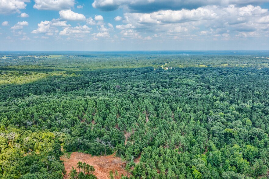 More Photos Of TBD State Hwy 64, Tyler Land For Sale
