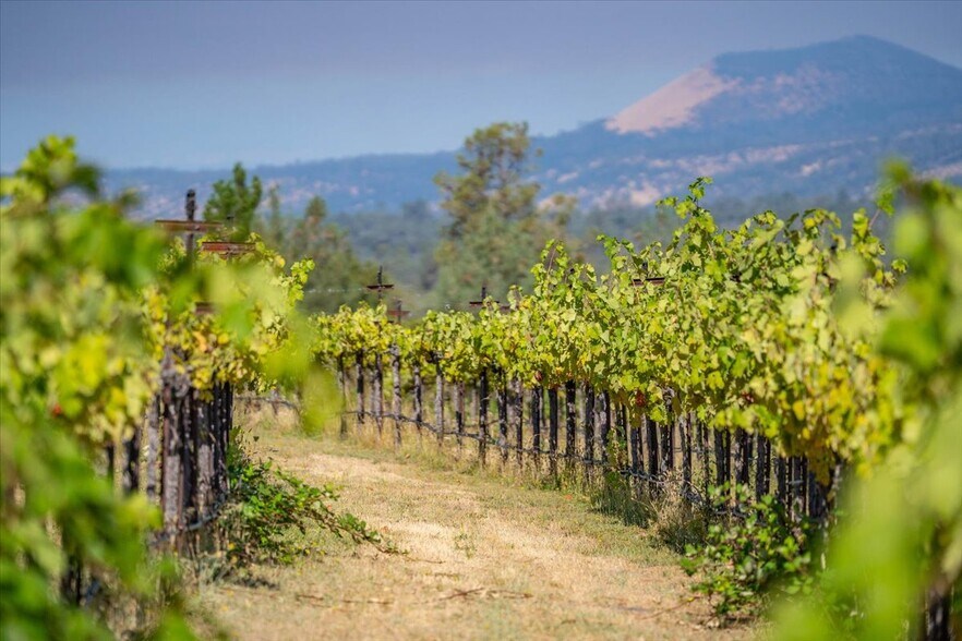 More Photos Of 31630 Forwards Rd, Manton Land For Sale