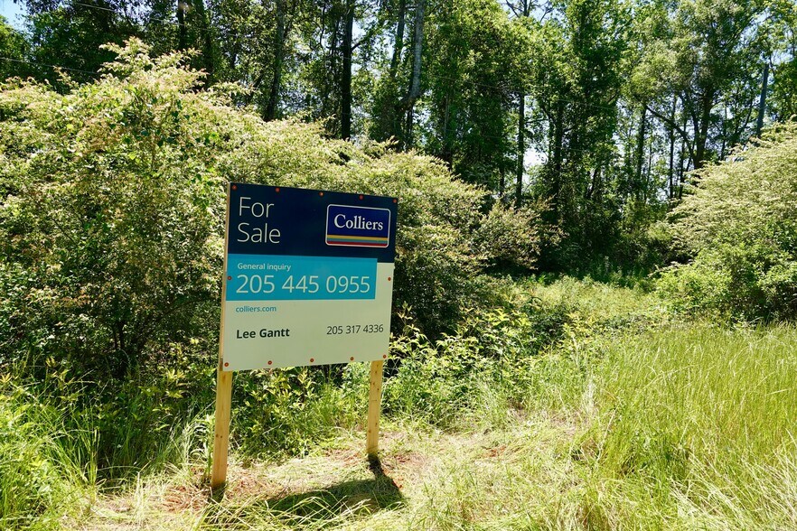 Primary Photo Of Merritt Rd @ W Reeves Street, Malvern Land For Sale