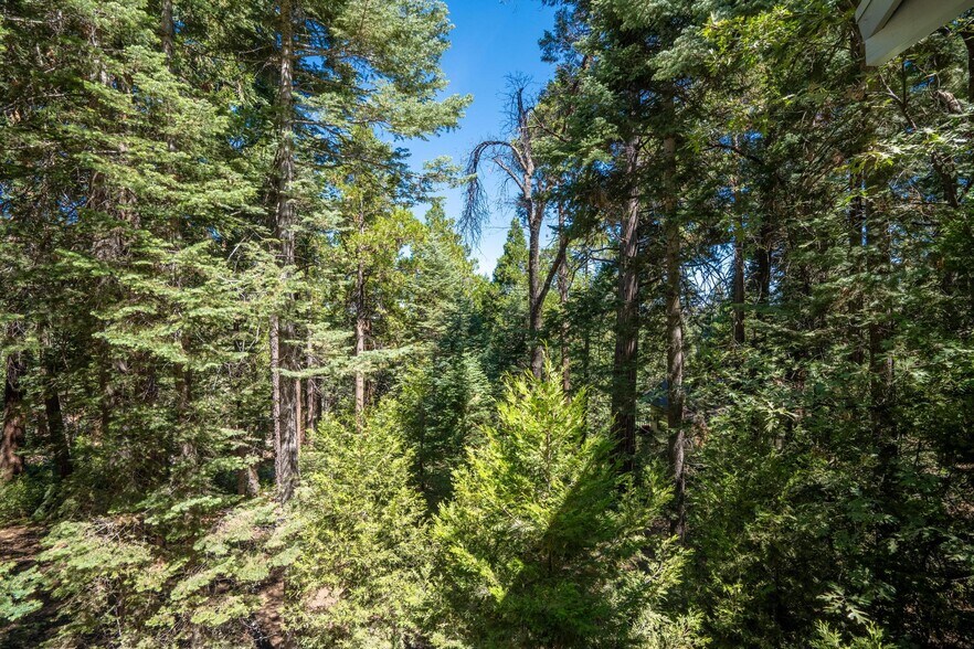 More Photos Of 32753 Birch Hill Rd, Palomar Mountain Freestanding For Sale