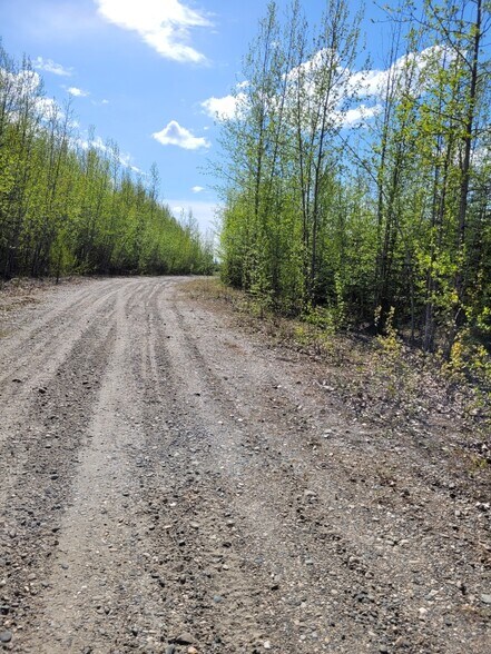 More Photos Of NHN Badger Road, North Pole Land For Sale