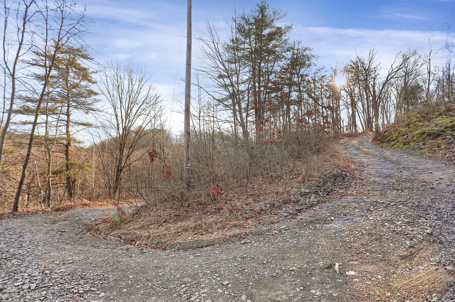 More Photos Of 703 Dauva Luch Rd, Herndon Land For Sale