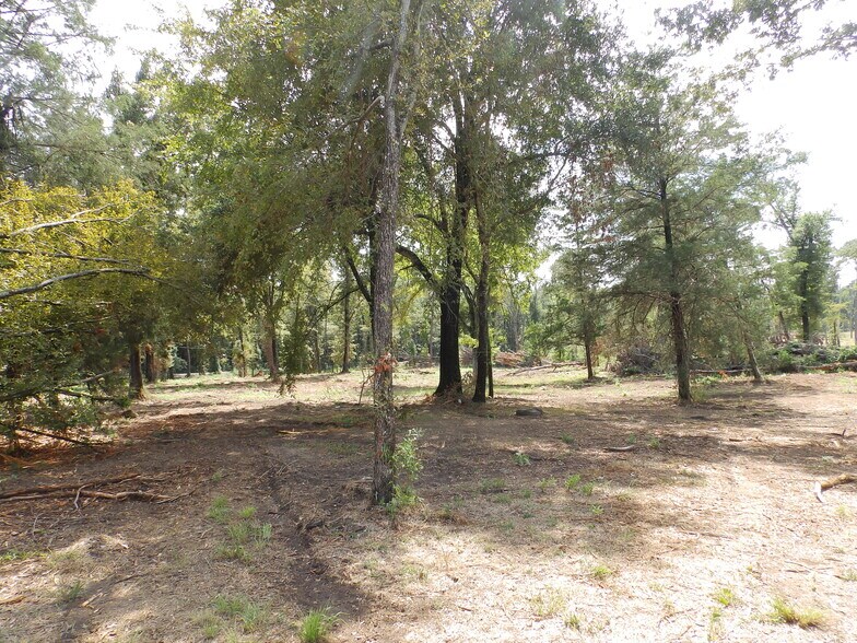 More Photos Of 16393 Highway 31, Tyler Land For Sale