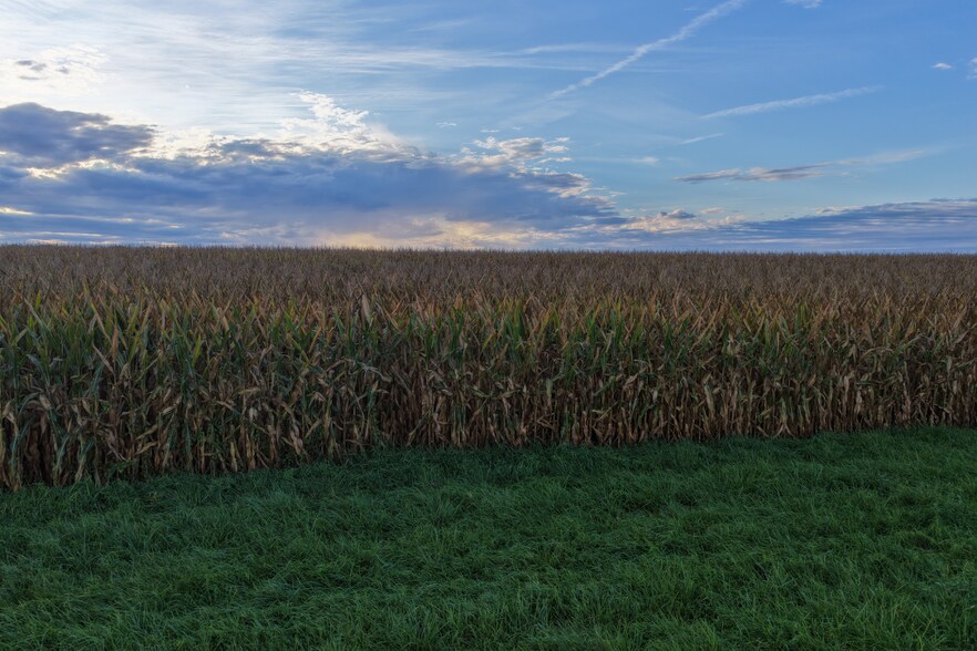 More Photos Of State Highway 16, Stockport Land For Sale