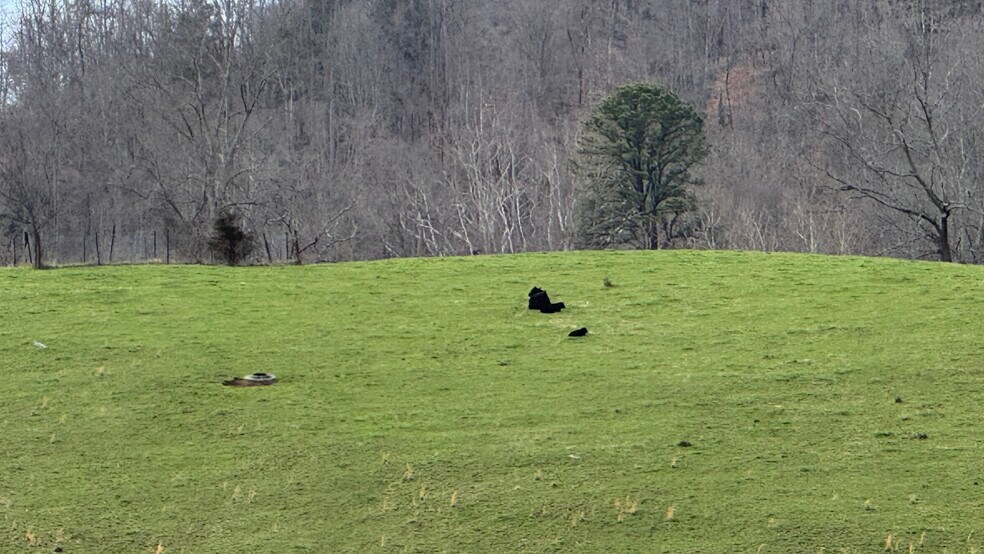 More Photos Of Lucrative Business Property, Jonesville Land For Sale