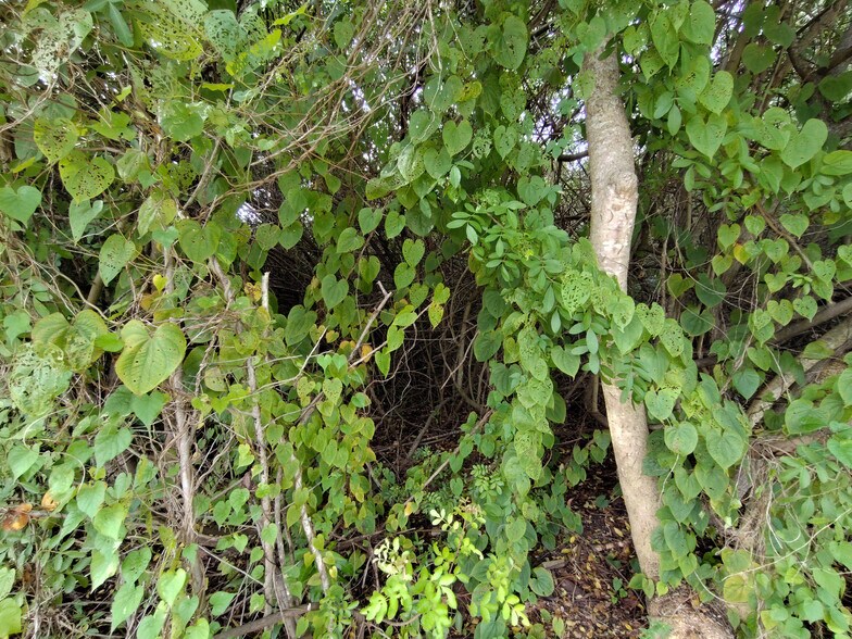 More Photos Of 5470 SE Ebbtide Ave, Stuart Land For Sale