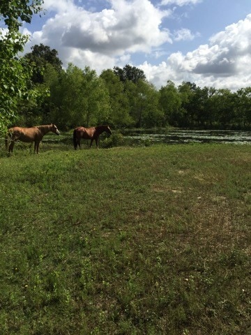 More Photos Of 14945 Wiggins Rd, Conroe Industrial For Sale
