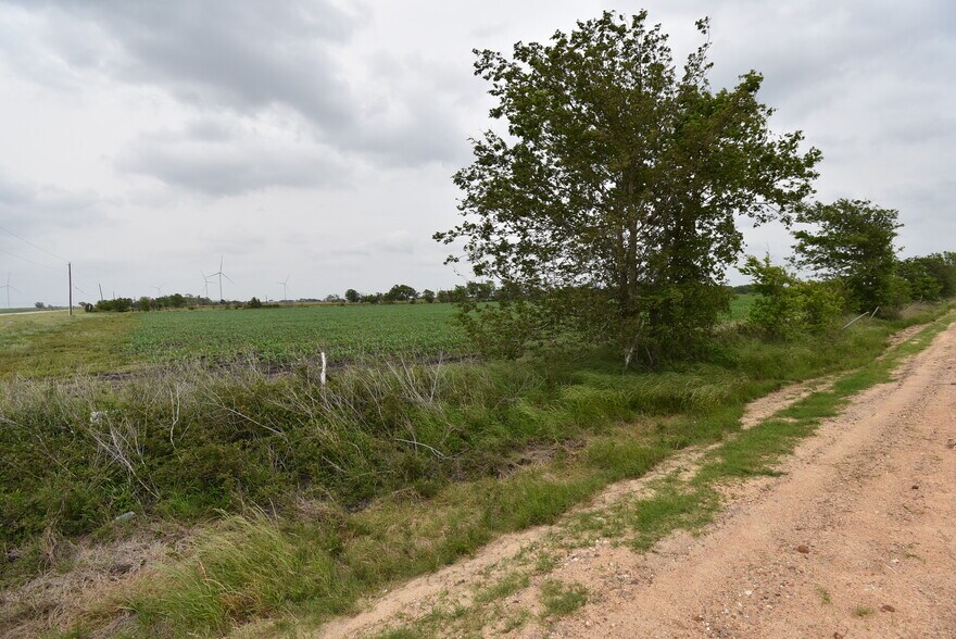 More Photos Of 000 FM 1162, El Campo Land For Sale
