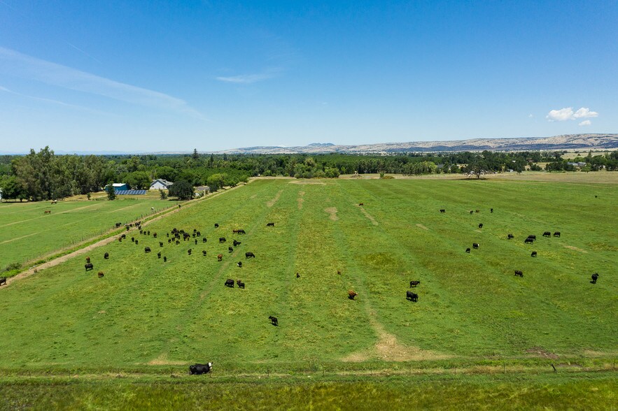 More Photos Of 9335 Shasta Blvd, Los Molinos Land For Sale