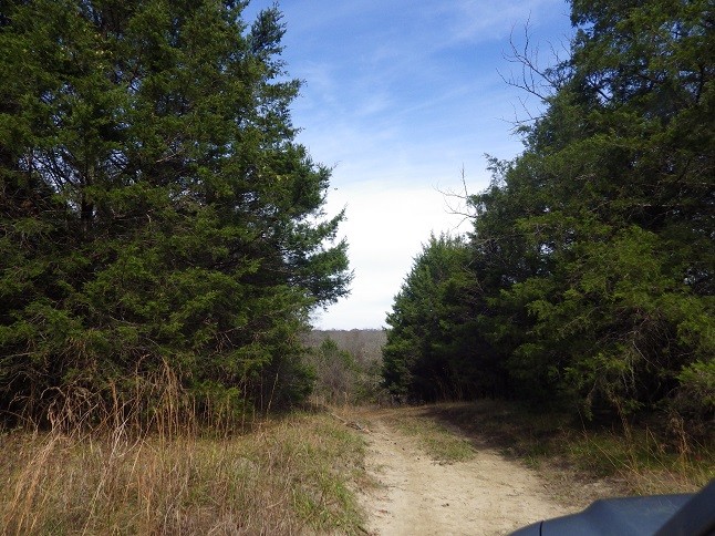 More Photos Of Reed Road Highway 82, Starkville Land For Sale