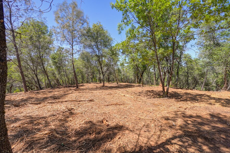 More Photos Of 10650 Werner Rd, Auburn Land For Sale