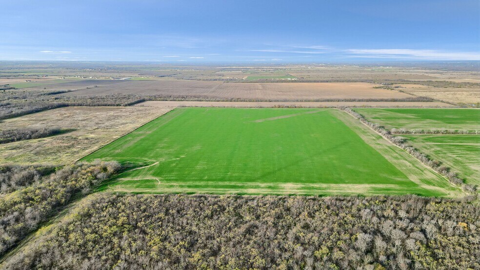 More Photos Of TBD Wall St Rd, Gunter Land For Sale