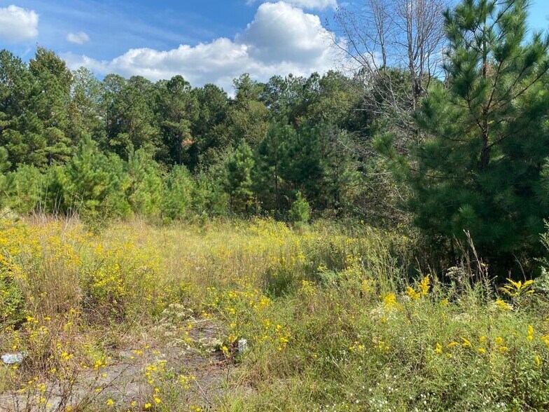 More Photos Of 308 Vallenga Rd, Elgin Land For Sale