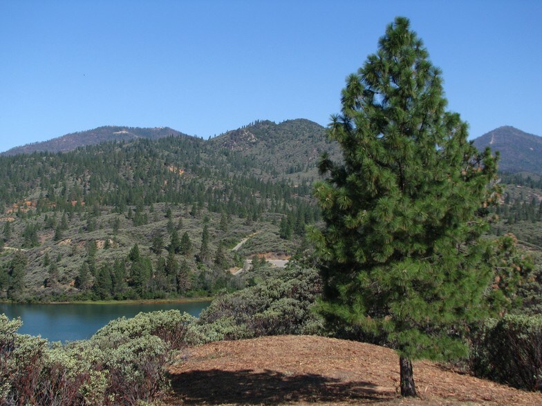 More Photos Of 16757 Eastshore Rd, Redding Land For Sale