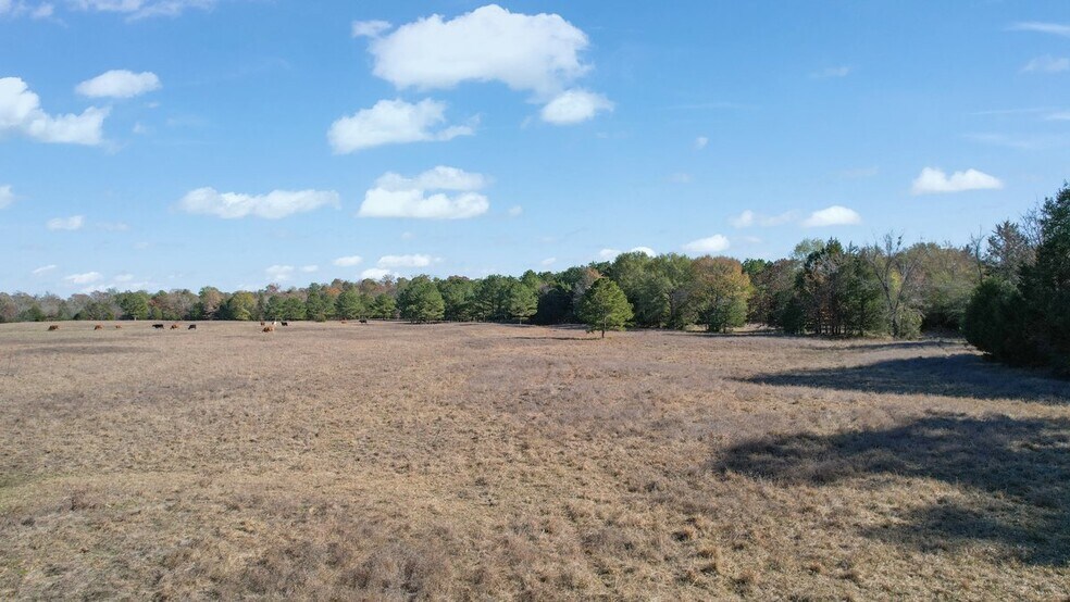 More Photos Of 190202 N 4130 Rd, Antlers Land For Sale