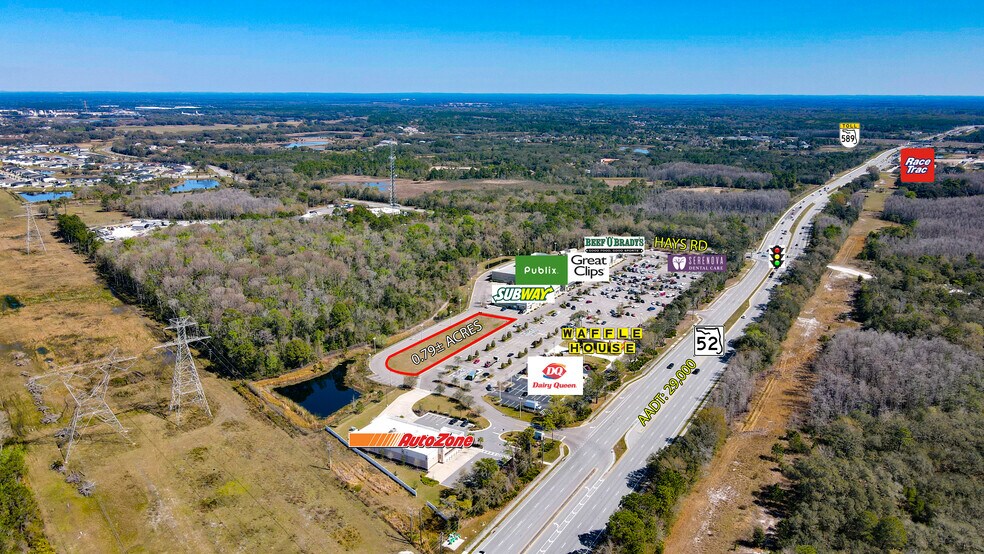More Photos Of SR 52 & Hays Rd, Hudson Land For Sale