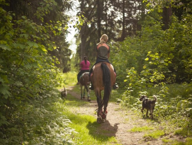 More Photos Of 387 Moore Road, Woodside Land For Sale