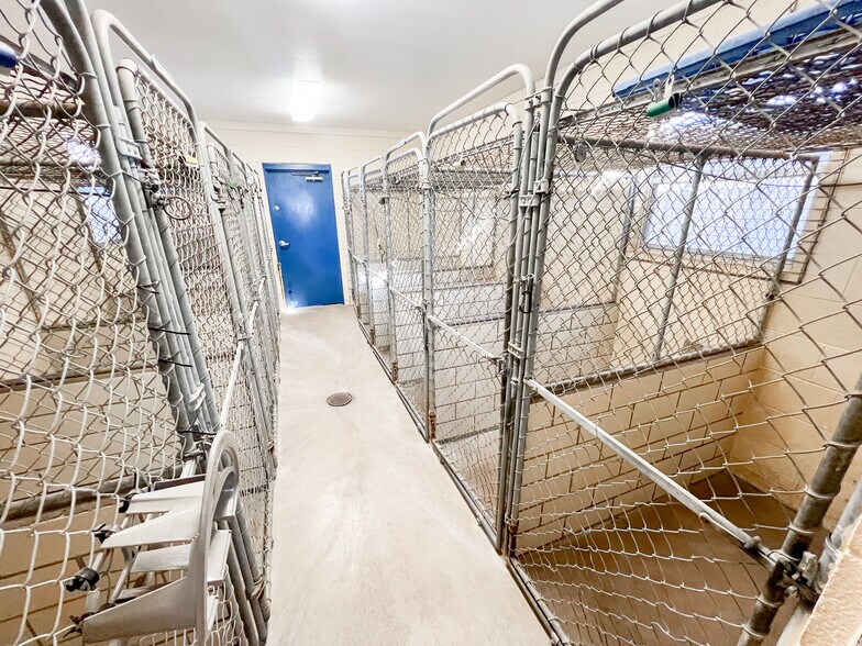 More Photos Of 3400 N Big Spring St, Midland Veterinarian Kennel For Sale