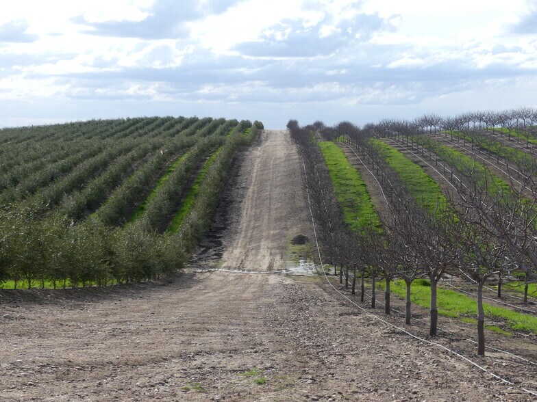 More Photos Of 27554 Lake Road, La Grange Land For Sale