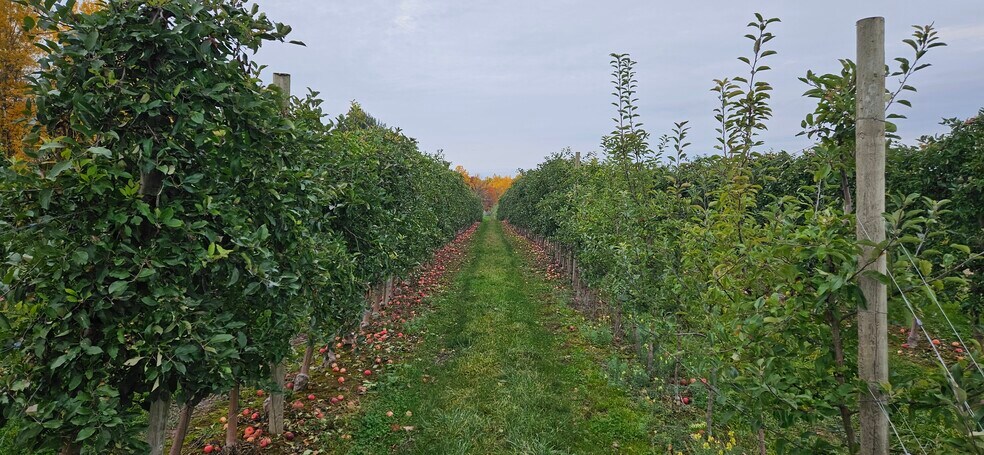 More Photos Of 5630 Norris Ave, North Rose Land For Sale