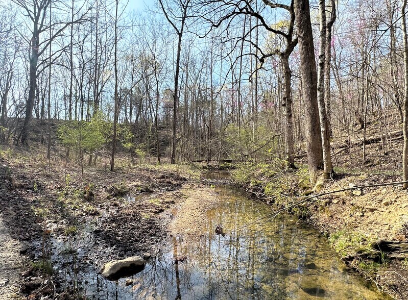 More Photos Of 7312 Highway 60, Georgetown Land For Sale