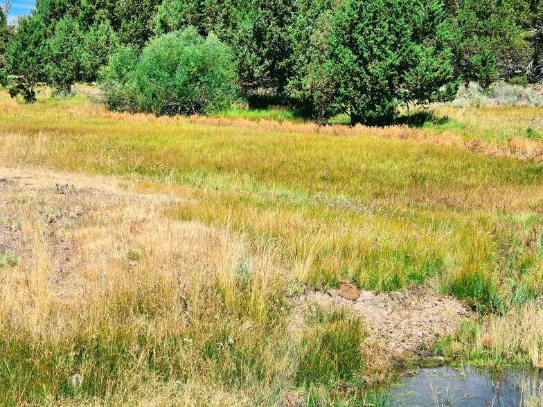 More Photos Of 32611 Tackman Rd, Prineville Land For Sale