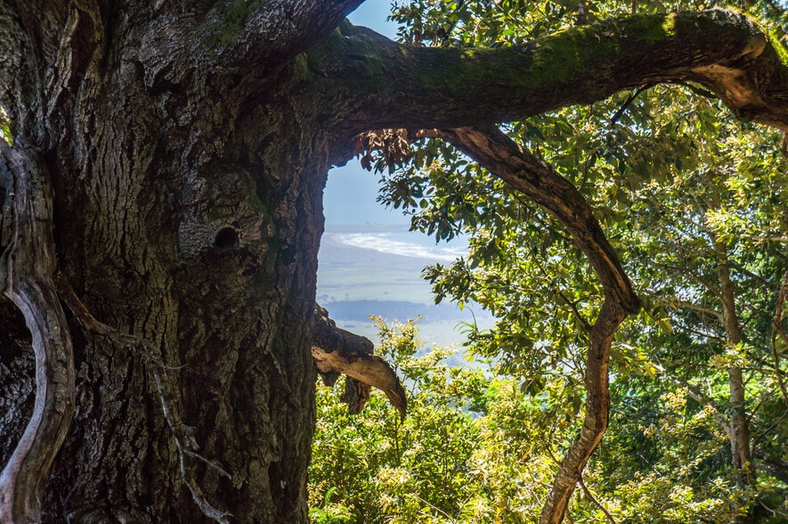 More Photos Of 16401 South Highway 1, Manchester Land For Sale