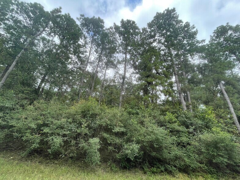 More Photos Of 3440 Corolla Rd, Magnolia Land For Sale