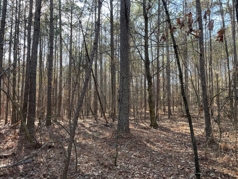 More Photos Of 0 S. Hwy 81, Covington Land For Sale