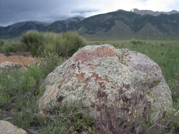 More Photos Of Vacant Highway 285, Villa Grove Land For Sale