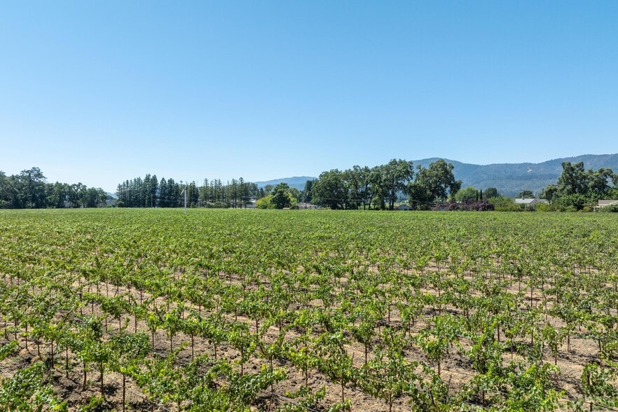 More Photos Of 79 Zinfandel Ln, Saint Helena Land For Sale