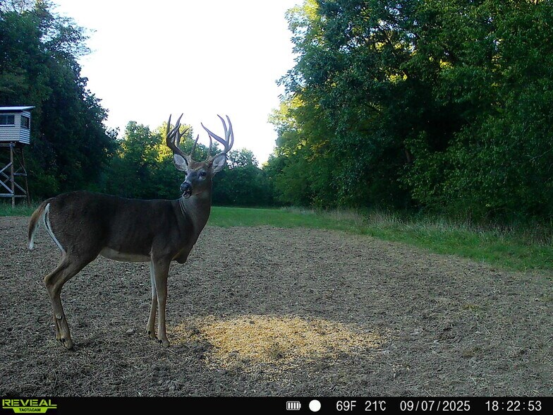 More Photos Of Highway D (77.2+/- Acres) Tract 1, Eolia Land For Sale