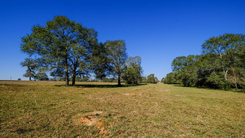 More Photos Of 26266 Fields Store Rd., Waller Land For Sale