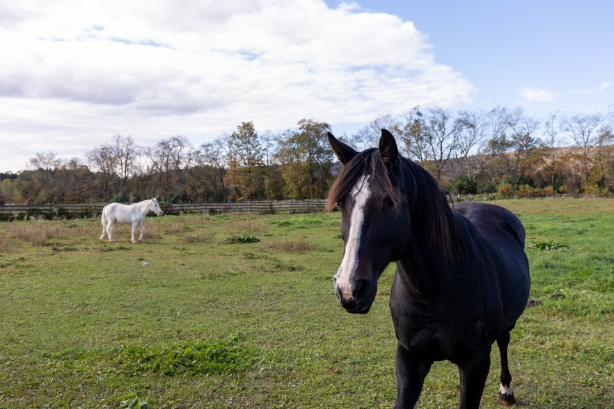 More Photos Of 4 Whitman Rd, Stephentown Sports And Entertainment For Sale