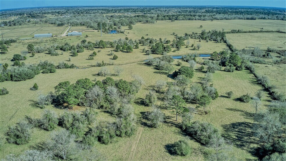 More Photos Of 26266 Fields Store Rd., Waller Land For Sale