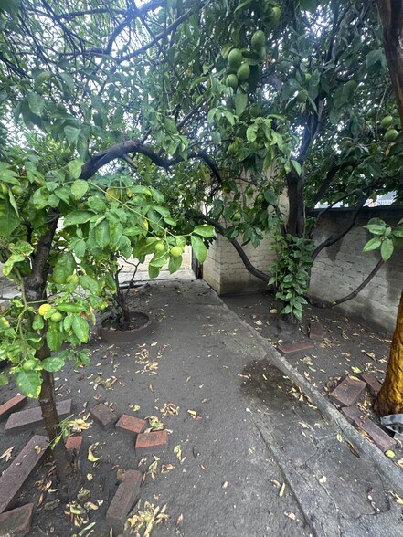 More Photos Of 1183 W 37th Dr, Los Angeles Apartments For Sale